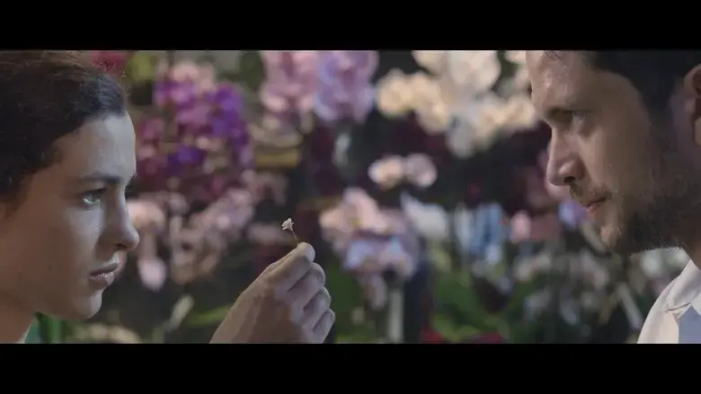 The Infinite Garden (2017)