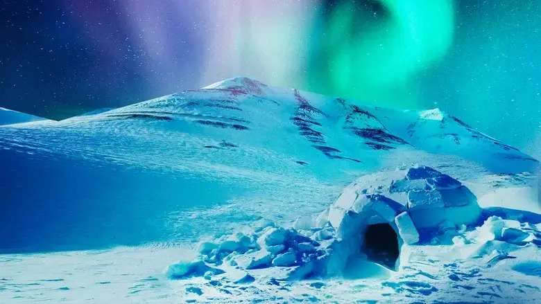 The Last Igloo (2019)
