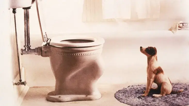 My Dog Skip (2000)