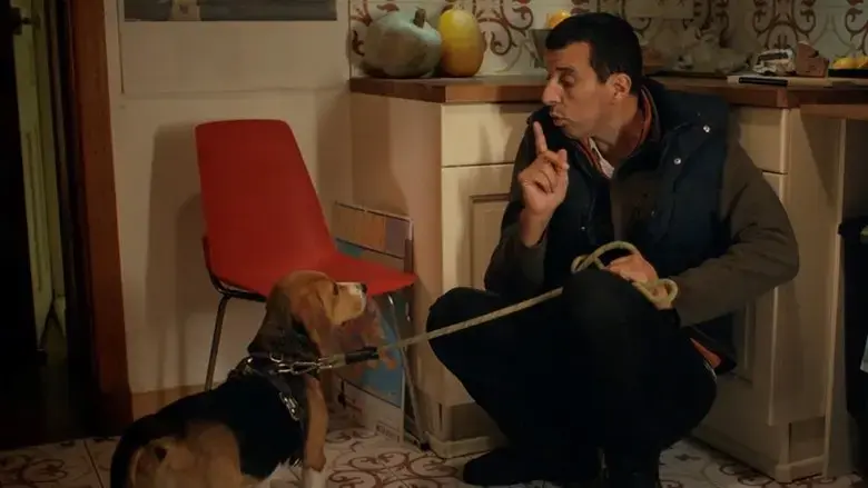 The Dogsitter (Now That I'm a Ghost) (2023)