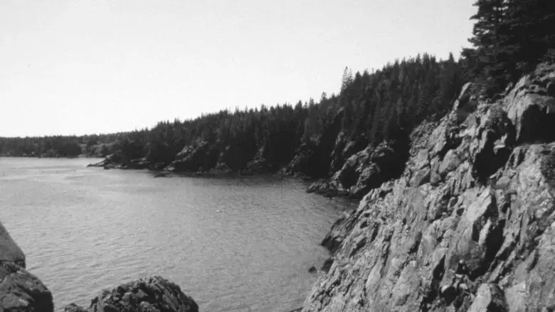 The Forest and the Sea (2024)