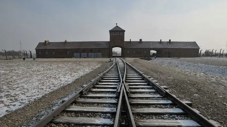 Born in Auschwitz (2019)