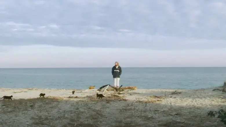 In the Open (2017)