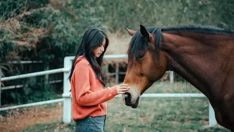 Wild Silence (2025)
