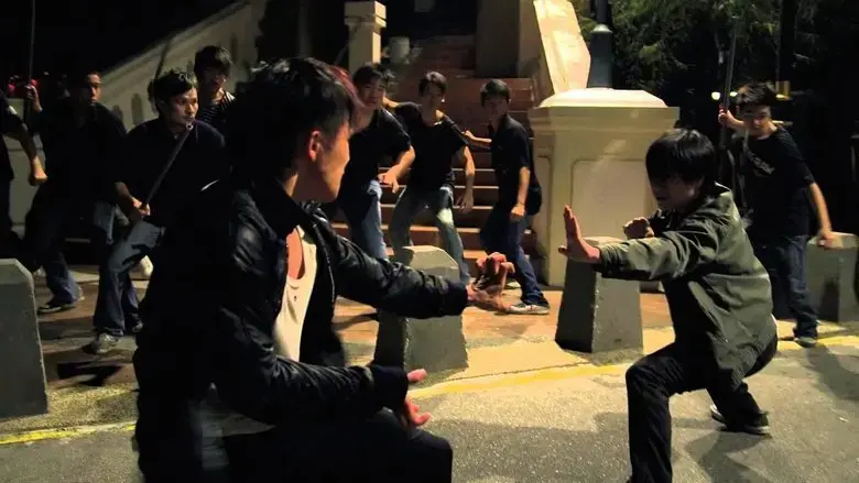 Fist of Dragon (2011)