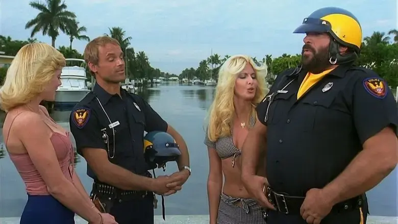 Crime Busters (1977)