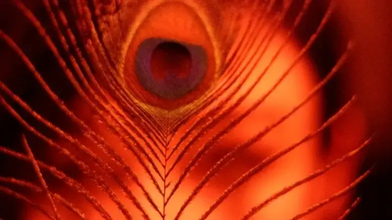 The Inner Demon / The Inner Angel (2022)