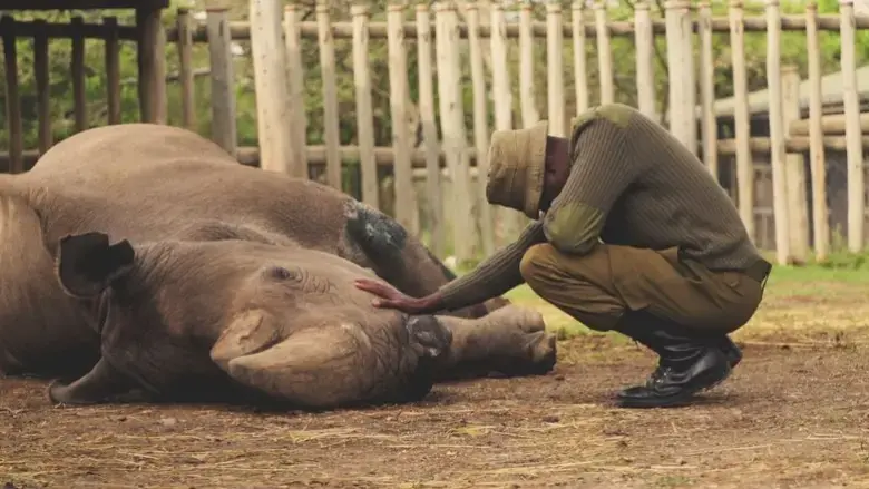 Kifaru (2019)