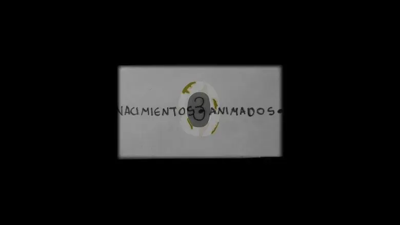 Nacimientos Animados: 3 (2024)