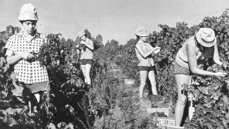Generacio Kibbutz (2020)