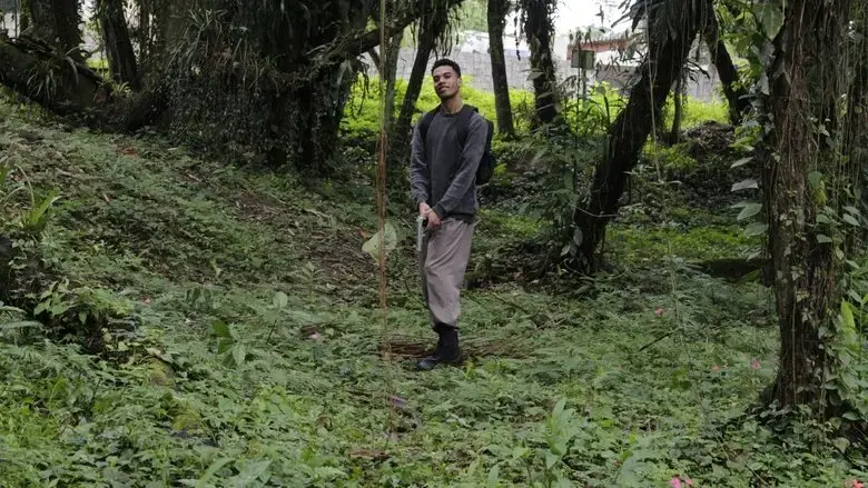 Corvo de Madeira (2024)