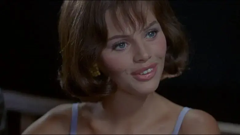 After the Fox (1966)