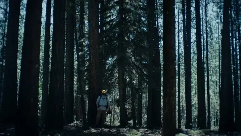 The Hidebehind (2018)