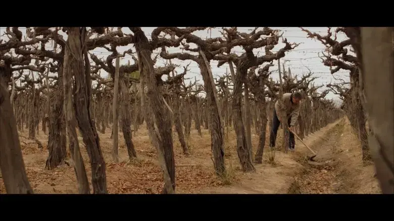 Wastelands (2024)