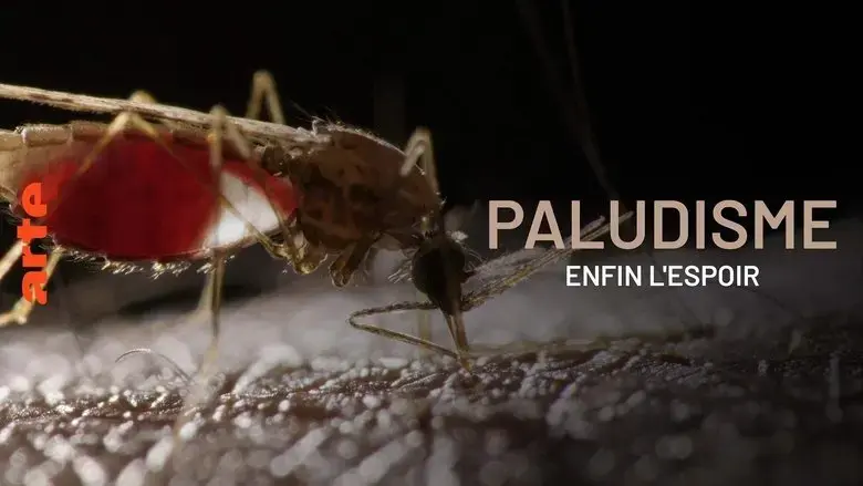 Paludisme, enfin l'espoir (2024)