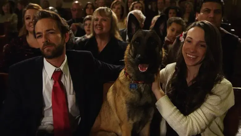 K-9 Adventures: A Christmas Tale (2013)