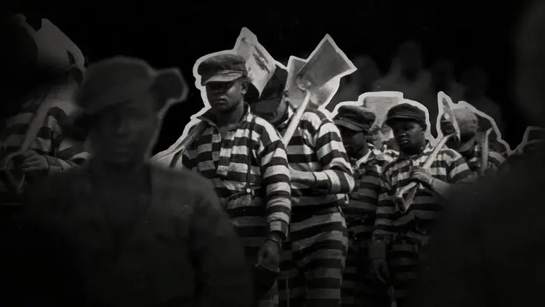 13th (2016)