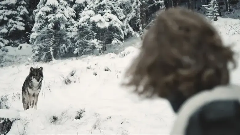 Der Wolf (2018)
