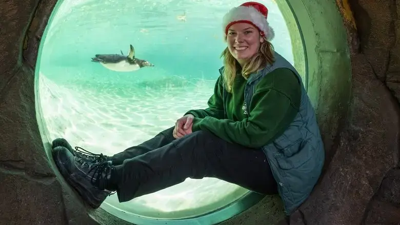 London Zoo at Christmas (2022)
