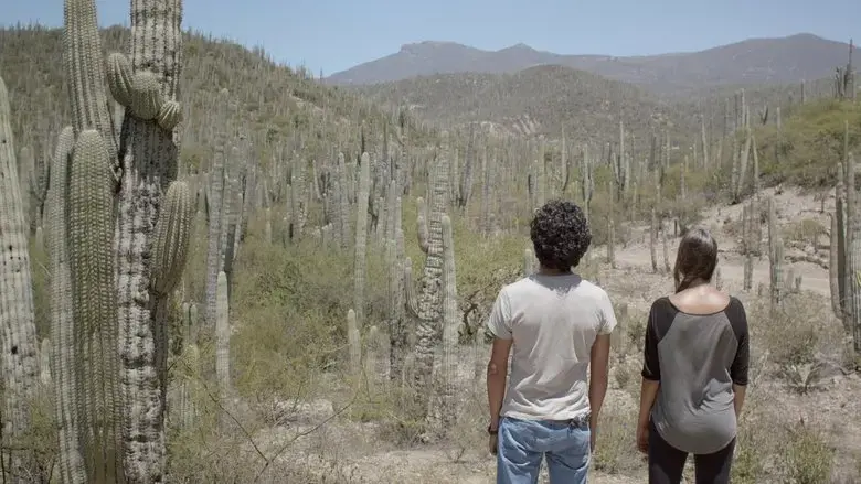 Two Cacti (2020)