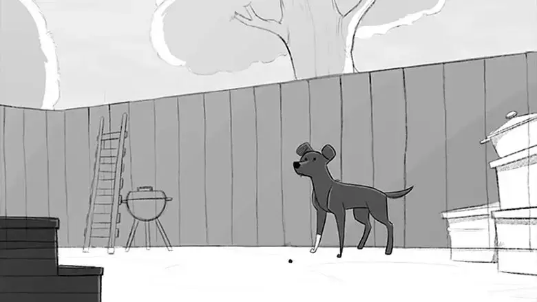 The Dog (2017)