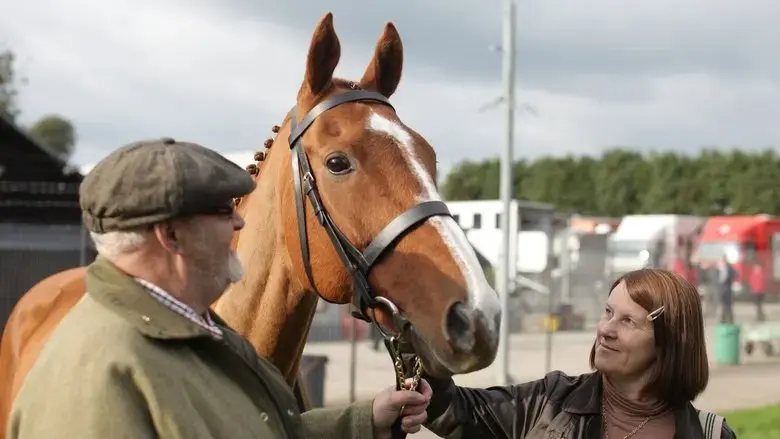 Dark Horse (2015)