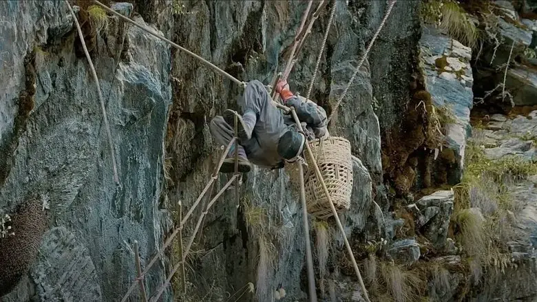 Bagh ko Bangara (The Tiger's Jaw) (2023)