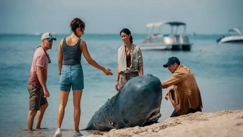 Retter der Meere - Todliche Strandung (2021)