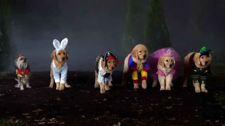 Spooky Buddies (2011)