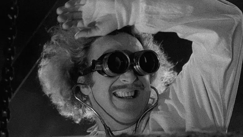 Young Frankenstein (1974)