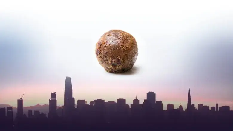Meat the Future (2020)