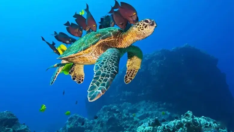 OceanWorld 3D (2009)