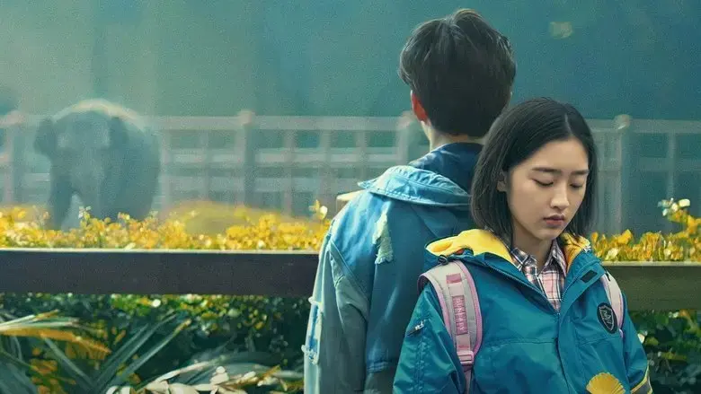 Chinese Examinee (2023)