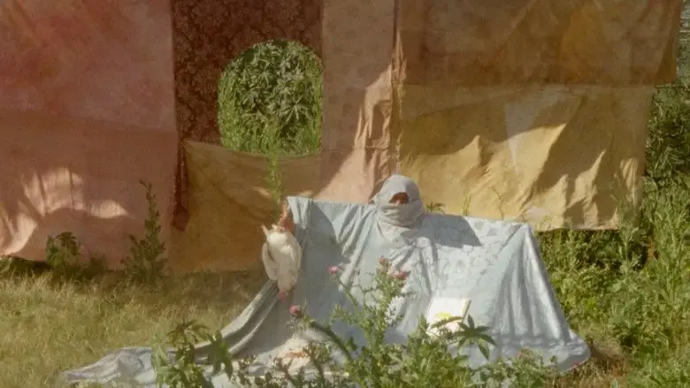 Land of Barbar (2025)