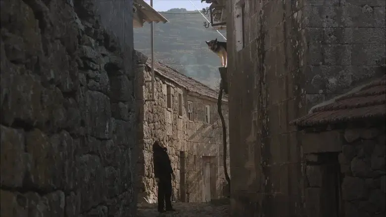 Bostofrio (2018)