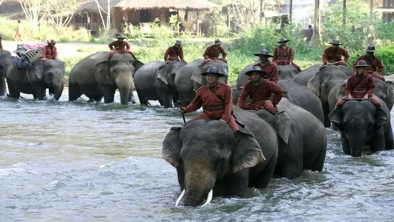 Sunny et l'elephant (2008)