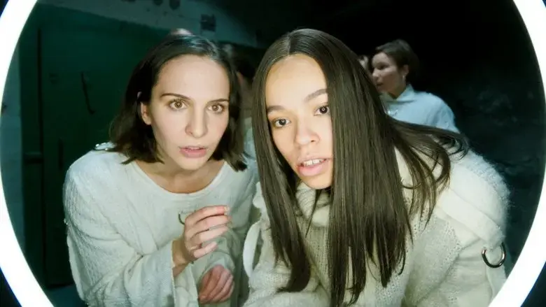 Flocks (2024)
