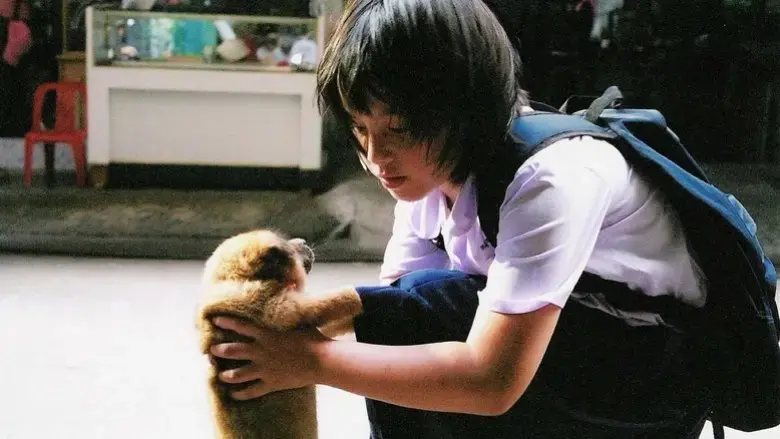 Khao niao moo ping (2006)