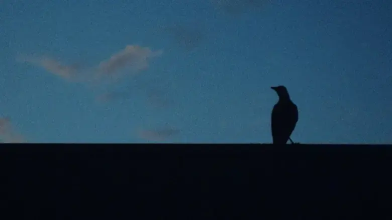A Sign of Things (2021)