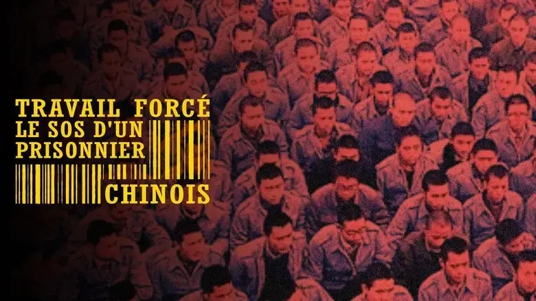 Forced Labour: SOS from a Chinese Prisoner (2023)