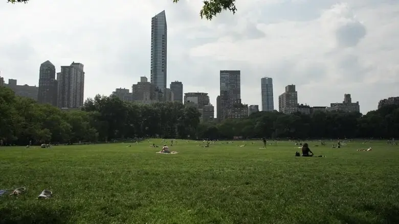 The Voices of New York (2026)