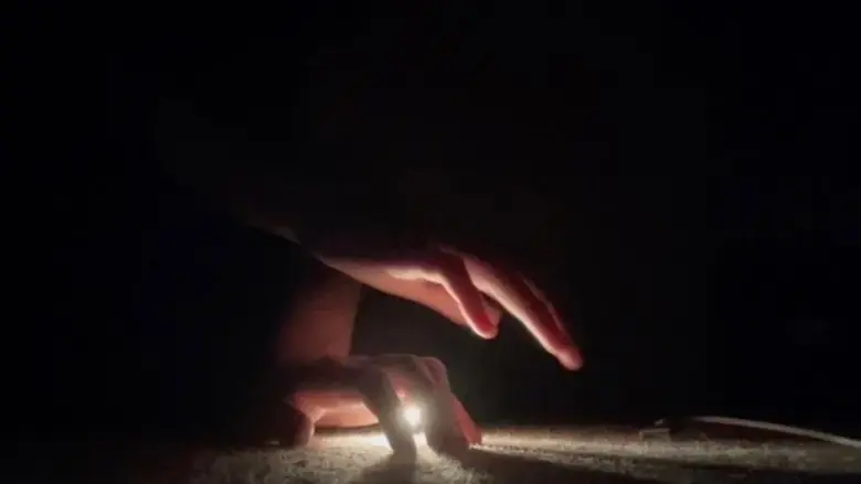 Experiments in the Dark (2022)