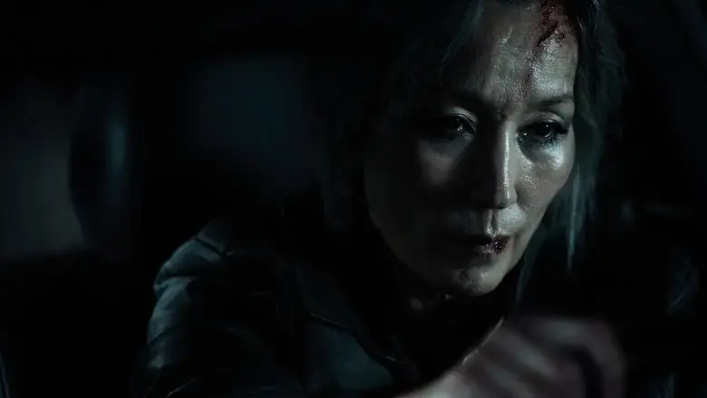 The Old Woman with the Knife (2025)