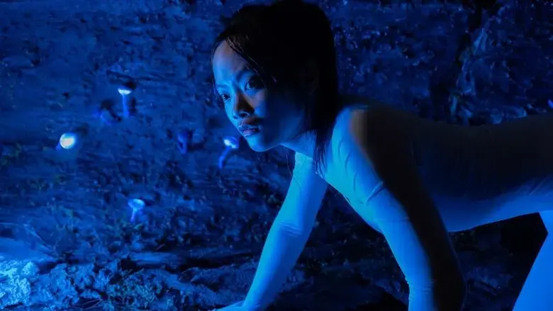 Gesture (2024)