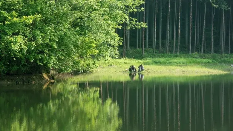 Hana (2006)