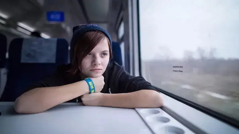 The View From The Window (2019)