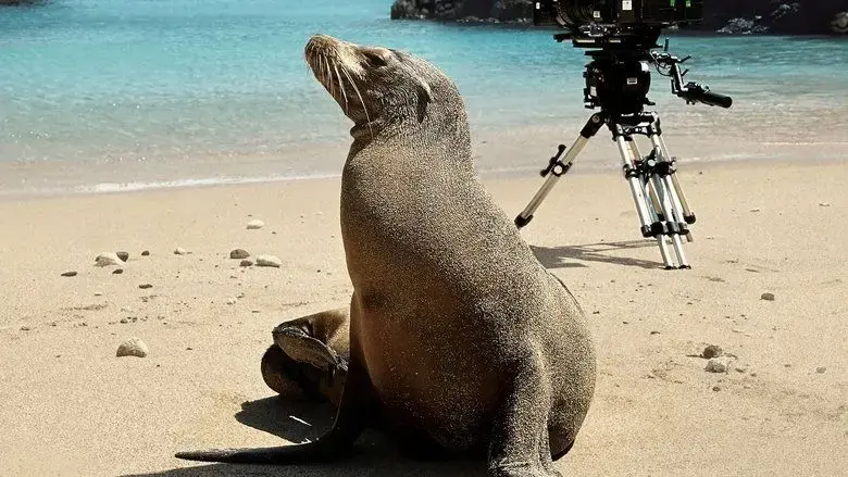 Guardians of the Galapagos (2025)