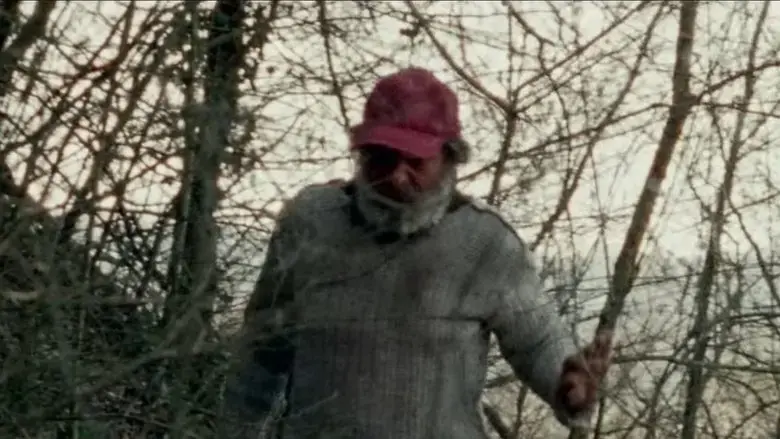Il solengo (2016)