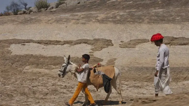 Bhasmasur (2017)