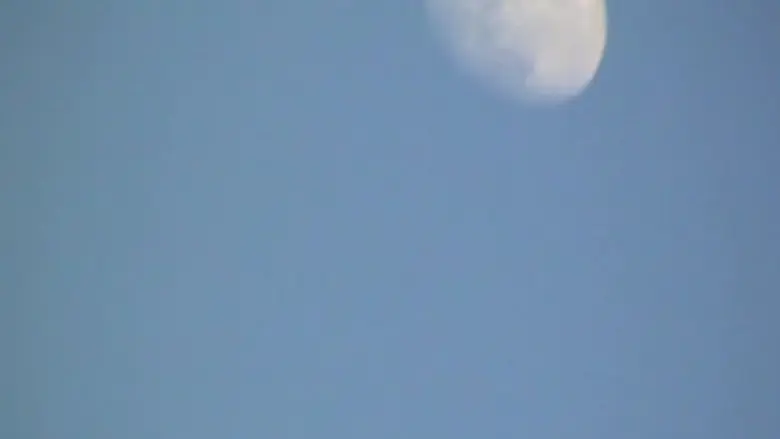 Moonwalk (2024)
